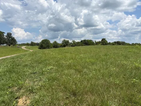 Wooded Agricultural Land