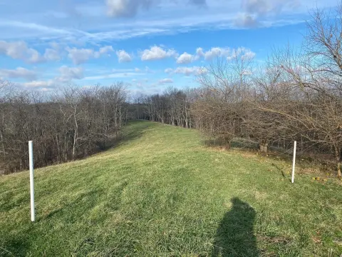 Wooded Agricultural Land