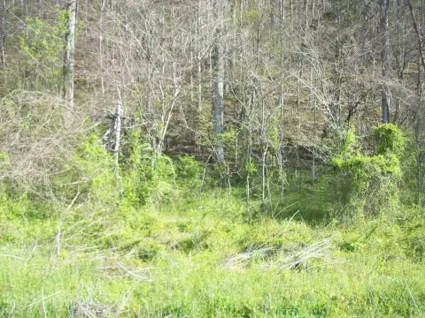 45 Acres Wooded Mountain Tract