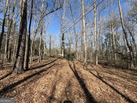 Three Acre Griffin Land Tract