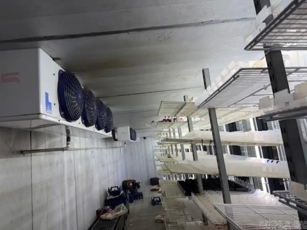 Picture 16