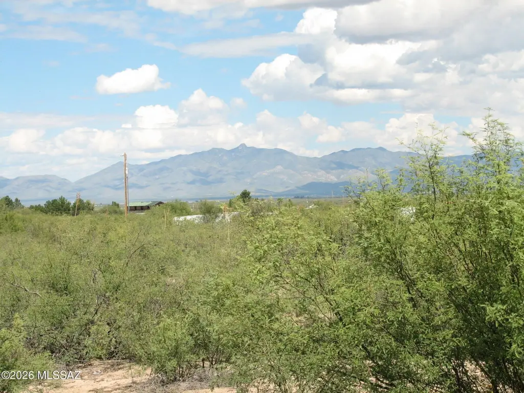 Picture 9