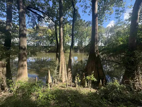 Lonoke Acreage with Bayou Access