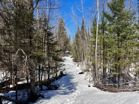 Wooded Recreational Land