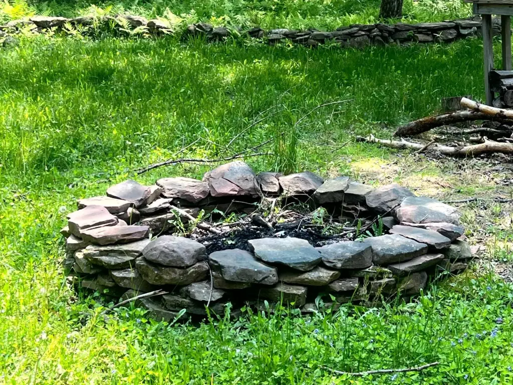 Picture 5