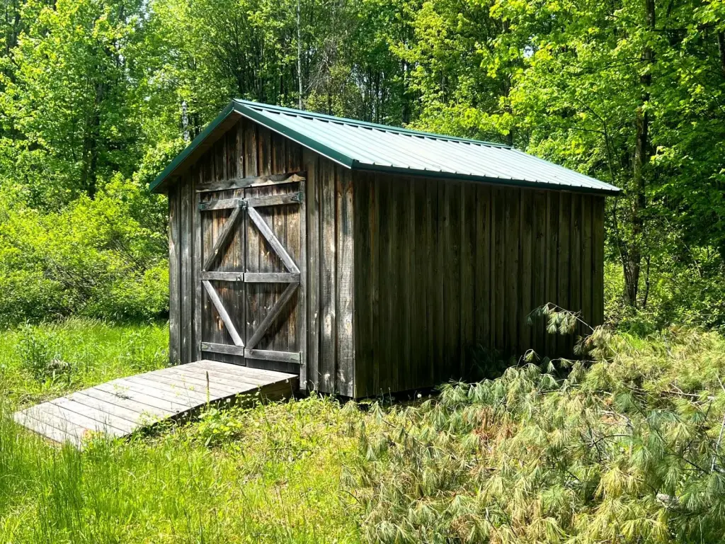 Picture 4