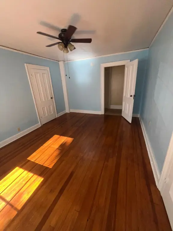 Picture 15