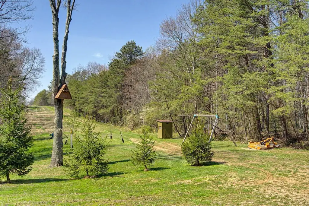 Picture 14
