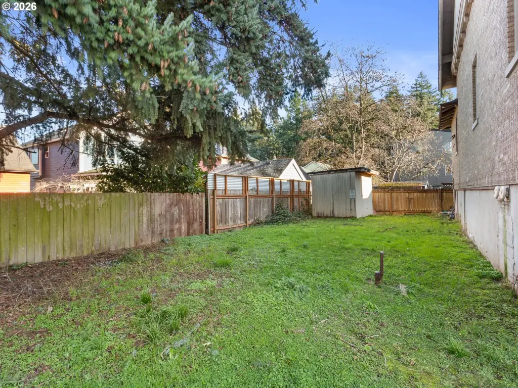 Picture 23