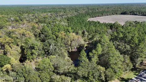 Hunting Land with Pond