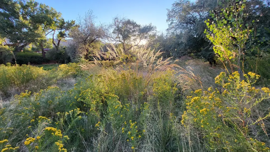 Picture 10
