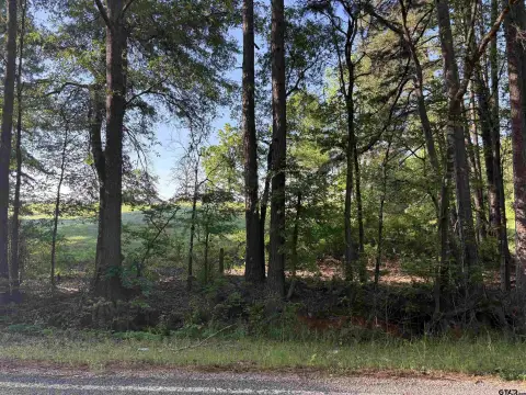Troup, TX Acreage For Sale