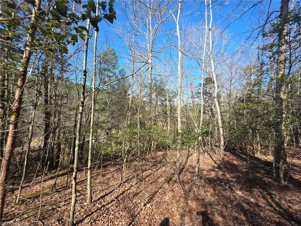 Picture 16