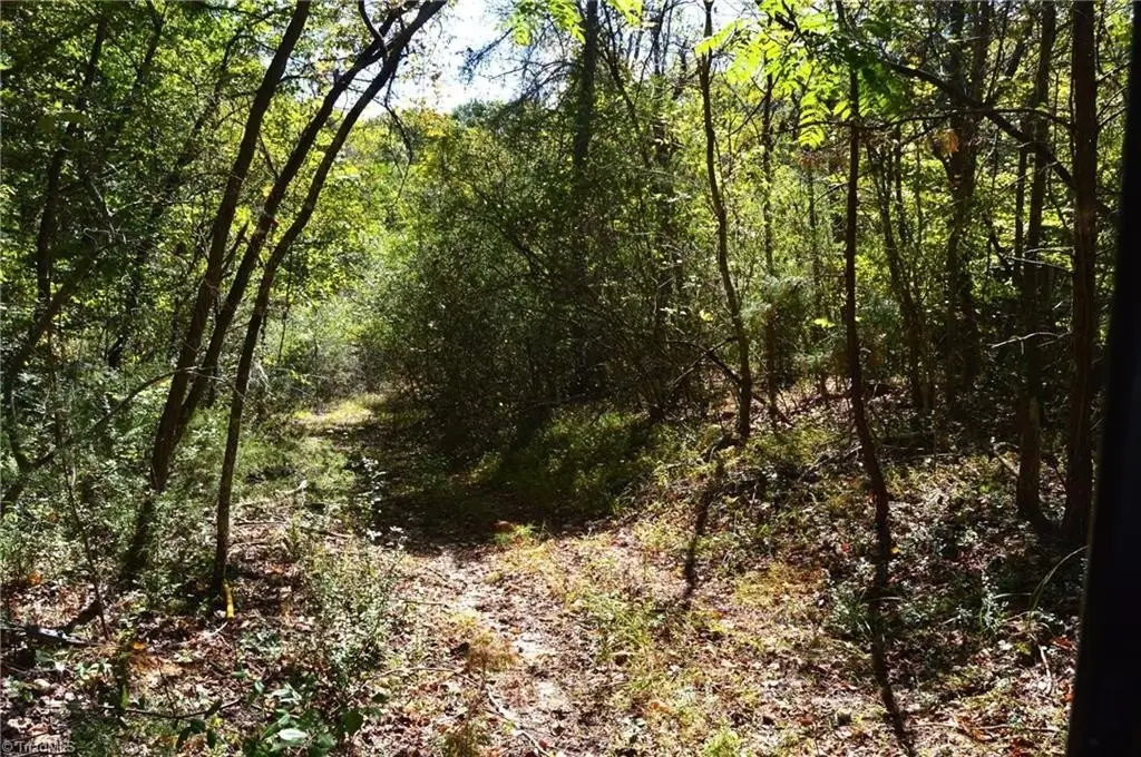 Picture 23