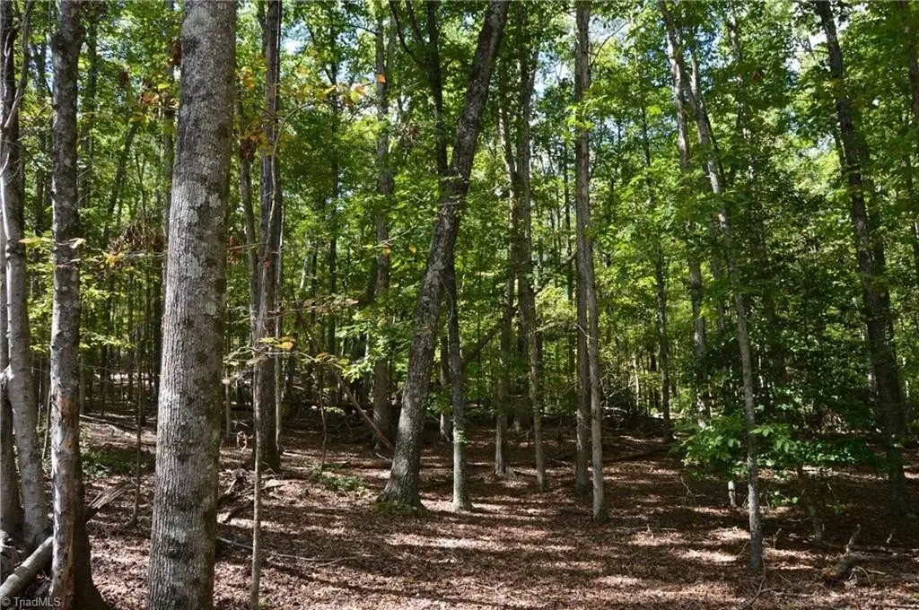 Picture 31