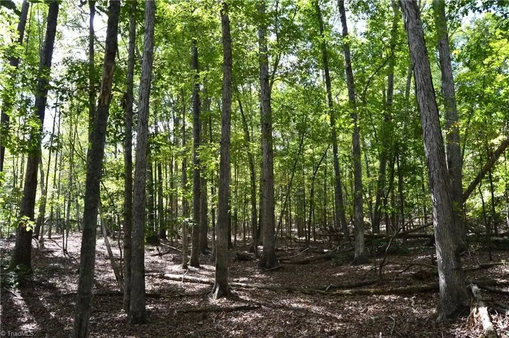 Picture 36