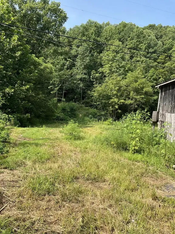 Picture 20