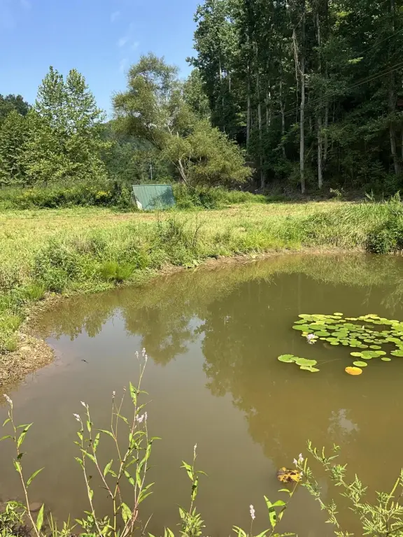 Picture 8