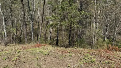 Lakefront Lot in Gated Community