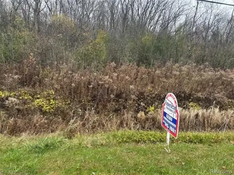 Residential Land in Birch Run