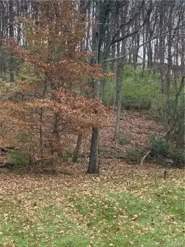 Residential Lot in Floyds Knobs