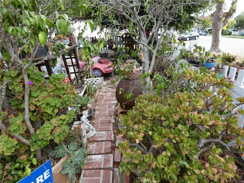 Picture 15