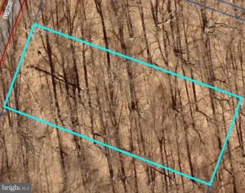 Land For Sale in Haymarket