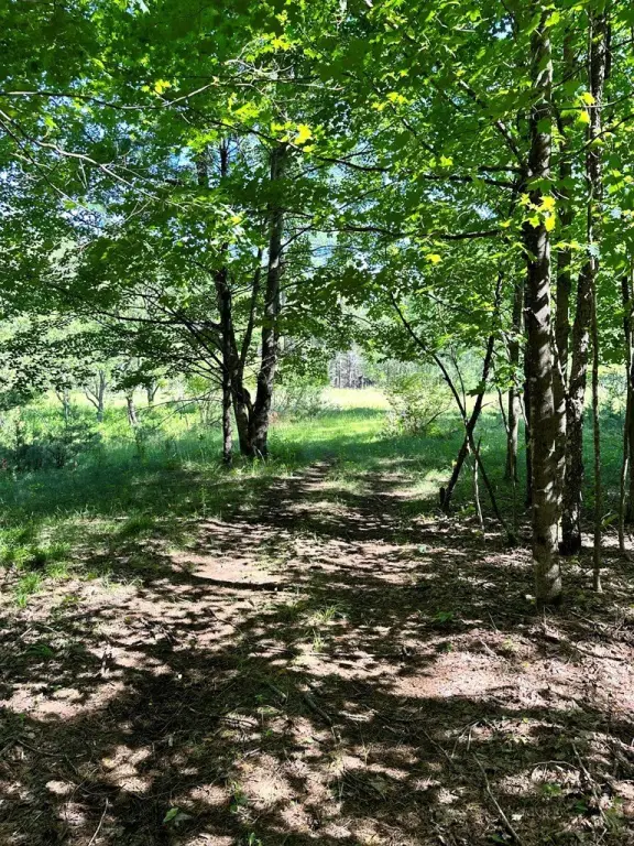 Picture 15
