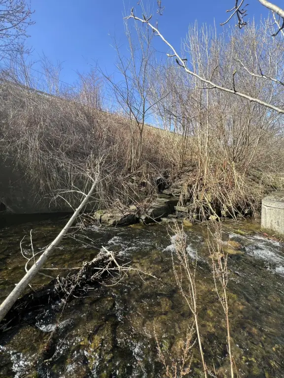 Picture 15