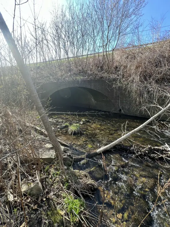 Picture 2