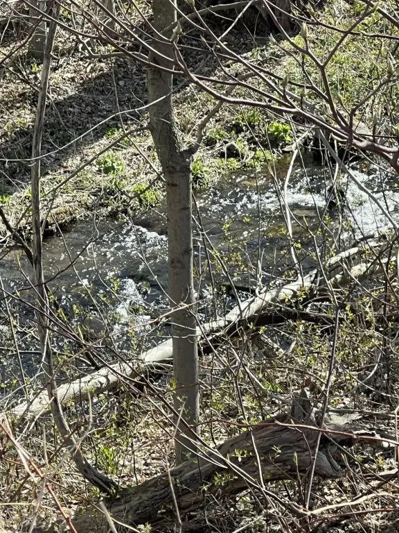 Picture 28