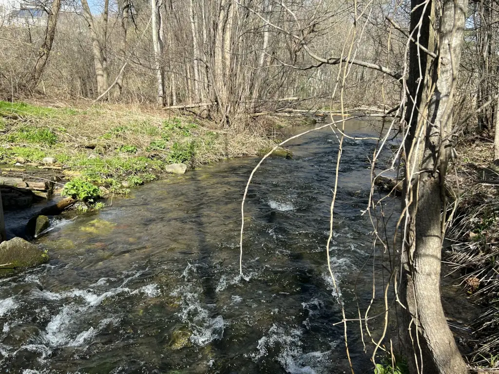 Picture 21