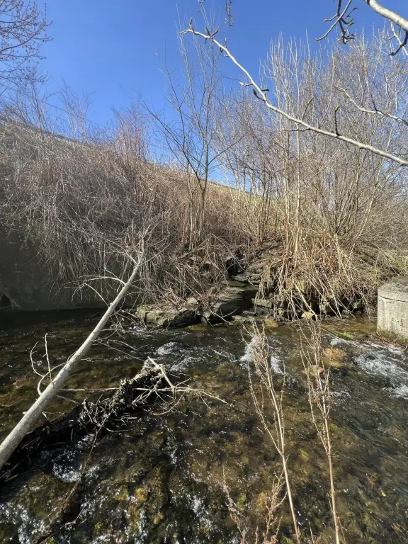 Picture 14