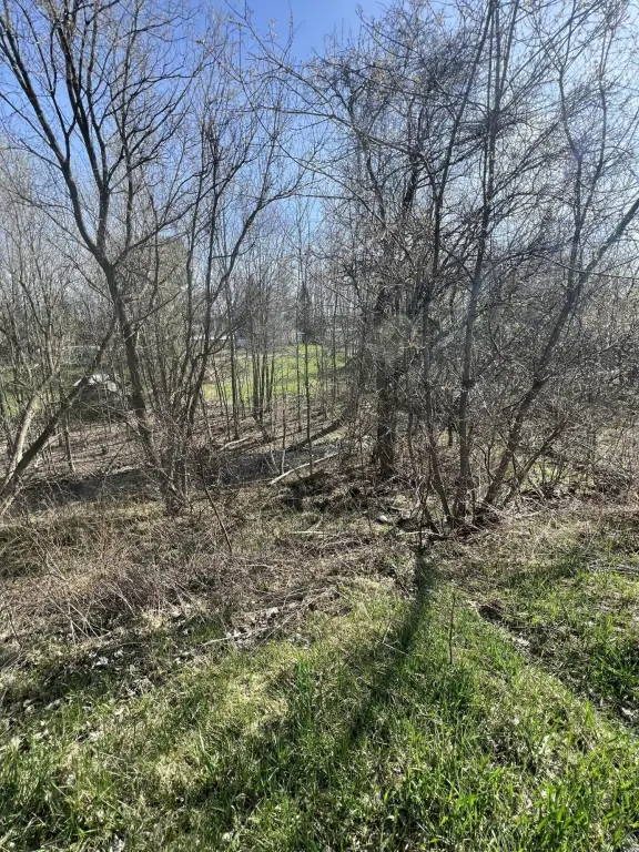 Picture 26