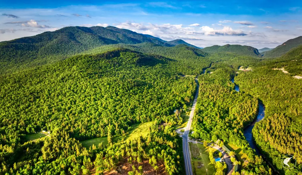 Picture 20