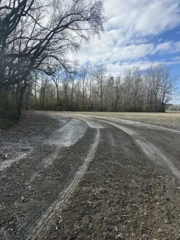 Picture 3
