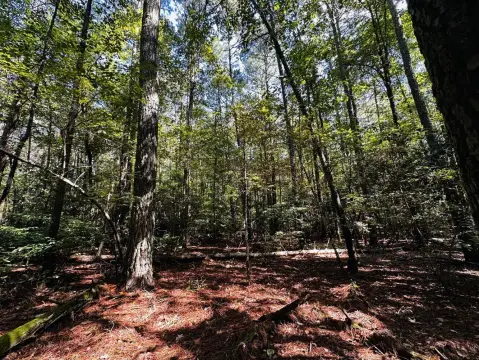 Secluded Land Ideal for Recreation