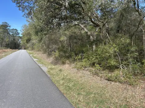 Ridgeville Vacant Land Near River