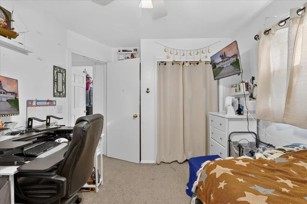 Picture 15