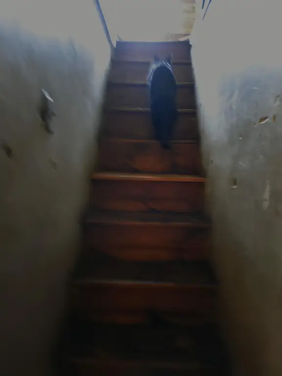 Picture 14