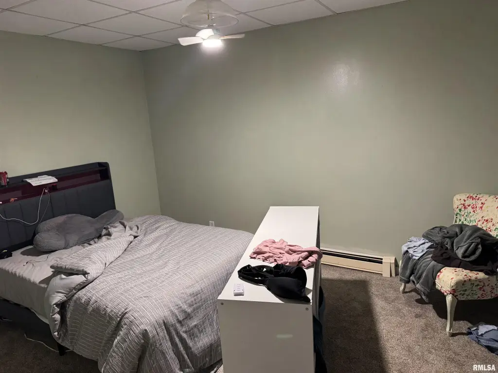 Picture 28