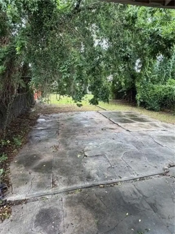 Picture 13