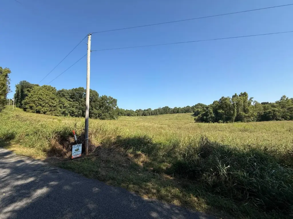 Picture 19