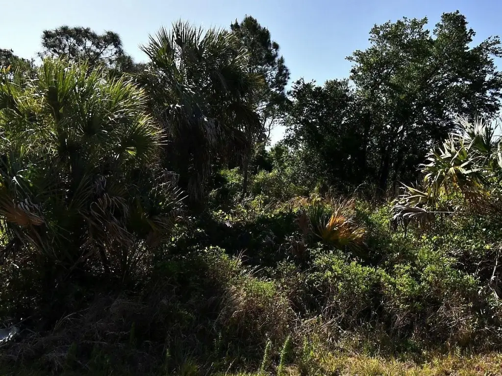 Picture 3