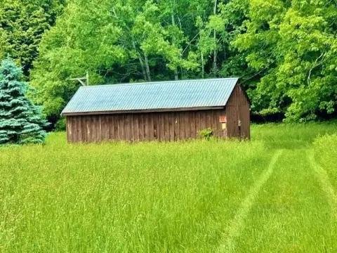 Land with Grazing Field