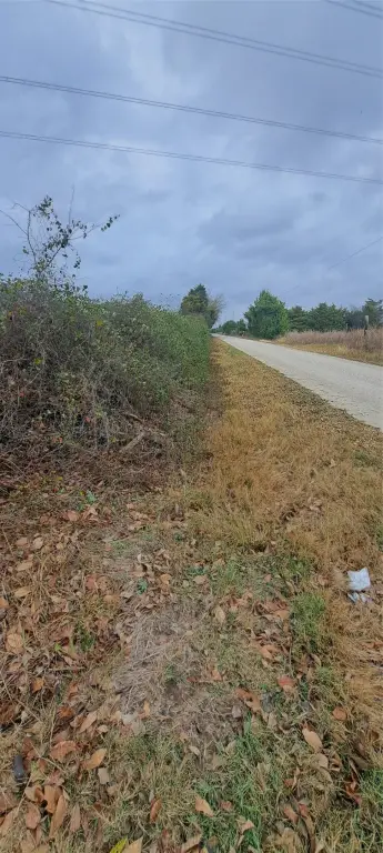 Picture 6