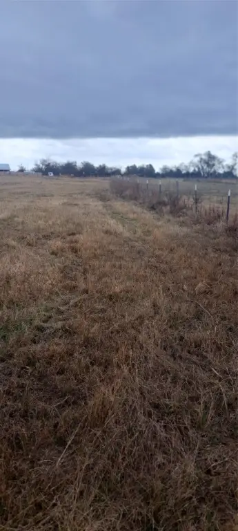 Picture 12