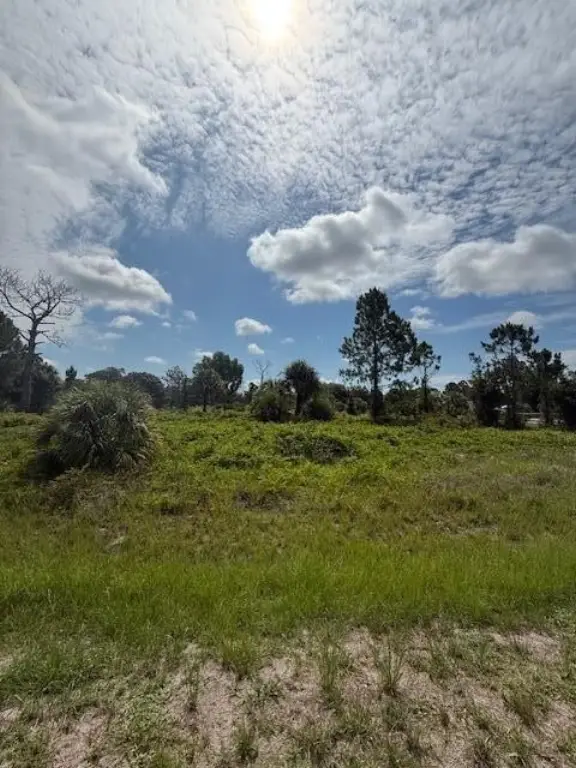 Picture 5