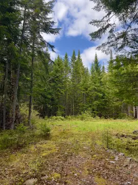 Rangeley Overlook Land Parcel