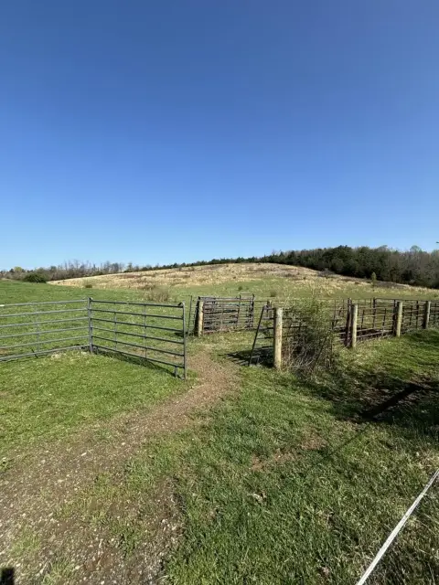 30 Acres of East Tennessee Land